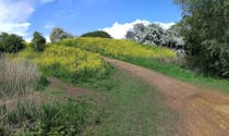 Find some peace and quiet at Brent Valley Park
