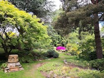 Escape To Dr Neil's Garden