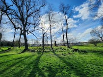 Explore Inch Park