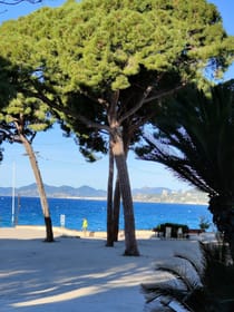 Explore Parc De La Pinède