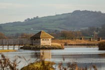 Explore Seaton Wetlands