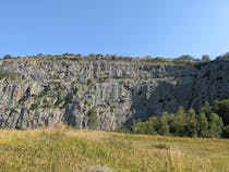 Explore the natural beauty of Warton Crag Local Nature Reserve