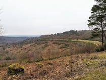 Explore Hindhead Commons and the Devil's Punch Bowl Cafe