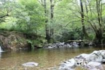 Explore Aira High Force Waterfall