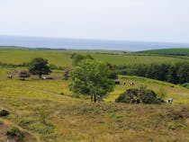 Take in the stunning views at Hardy's Monument