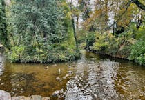 Explore Coy Pond