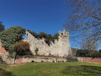 Explore the ruins of Wallingford Castle