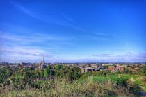 Explore Mousehold Heath