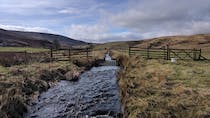 Explore RSPB Geltsdale