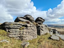 Explore Bellever Tor's Stunning Rock Formations and Scenic Woodland Trails
