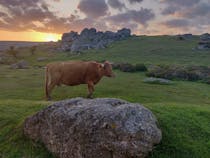 Head to Bonehill Rocks to watch the sunset