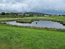 Take a stroll around Thacka Beck Nature Reserve