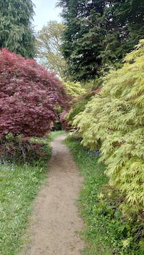 Explore the tranquil Ramster Gardens