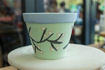 Paint your own ceramics at Paint It Yourself Pottery Co