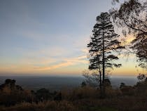 Explore Leith Hill's woodland trails