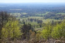Explore Holmbury Hill's trails and scenic views