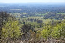 Explore Holmbury Hill's trails and scenic views