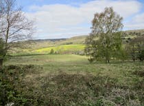 Explore Abinger Roughs and Netley Park