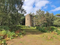 Explore Chinthurst Hill's tower and scenic views