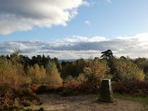 Explore Hydon's Ball and Heath