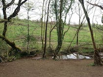 Explore Southway Valley Local Nature Reserve