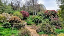 Explore Lukesland Gardens and Tea Room