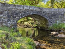 Explore the Scenic Norsworthy Bridge