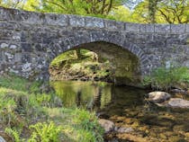 Explore the Scenic Norsworthy Bridge