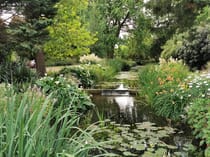 Explore Gooderstone Water Gardens & Nature Trail