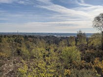 Take in the Stunning Views at St Catherine's Hill