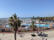 Swim Laps in The Olympic-Sized Gordon Pool