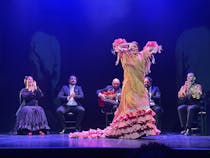 Come see a Flamenco show at Teatro Flamenco Madrid