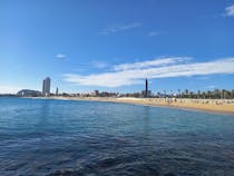 Enjoy a morning swim at Playa de Bogatell