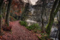 Explore the tranquil Dunsford Nature Reserve