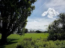 Explore University Parks