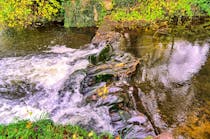Explore Swanton Morley Waterfalls