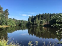 Explore Mallard's Pike