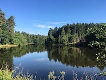 Explore Mallard's Pike