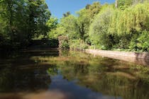 Explore Cockington's charming Country Park