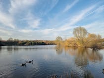 Explore Hainault Forest