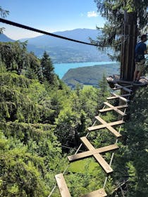 Experience Tree-Climbing above Lake Annecy