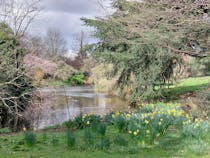 Get some Fresh Air at Ravenscourt Park