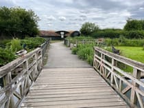 Enjoy the calm of the London Wetland Centre