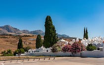 Explore the Monumental Cemetery of San Sebastián