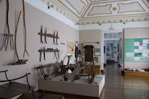 Explore the Museum of Archeology and Ethnography