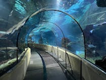 Prepare to be amazed at Aquarium Barcelona