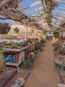 Grab a Coffee at Clifton Nurseries