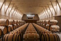 Tour and Taste at Bodega Ribas