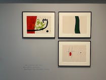Explore Sala Picasso i Sala Miró
