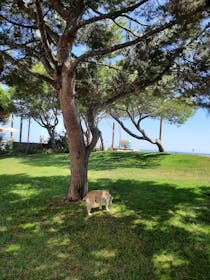 Explore the tranquil Jardim São Pedro Do Mar